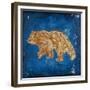 Lodge Pole Pine Bear-LightBoxJournal-Framed Giclee Print