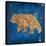 Lodge Pole Pine Bear-LightBoxJournal-Stretched Canvas