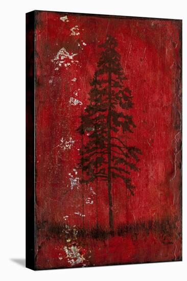 Lodge Pole Pine-LightBoxJournal-Stretched Canvas