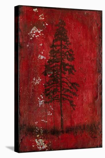 Lodge Pole Pine-LightBoxJournal-Stretched Canvas