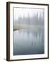 Lodge Pole Pines Along Fire Hole Lake, Yellowstone NP, Wyoming-Greg Probst-Framed Photographic Print