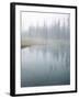 Lodge Pole Pines Along Fire Hole Lake, Yellowstone NP, Wyoming-Greg Probst-Framed Photographic Print