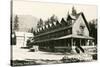 Lodge, Rainier National Park, Oregon-null-Stretched Canvas