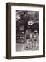 Lodge Starved Rock State Park Illinois BW-Steve Gadomski-Framed Photographic Print