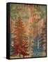Lodge View-Bee Sturgis-Framed Stretched Canvas