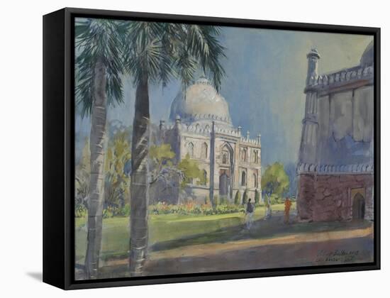 Lodi Gardens, Delhi, 2013-Tim Scott Bolton-Framed Stretched Canvas