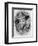 Lodovico Carracci-null-Framed Art Print