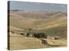 Loess Hills in John Day River Basin, Wheeler County, Oregon, United States of America-Tony Waltham-Stretched Canvas