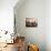 Loft Apartment, New York City, USA-null-Photographic Print displayed on a wall