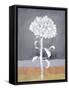 Loft Botanical 1-Filippo Ioco-Framed Stretched Canvas