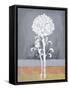 Loft Botanical 2-Filippo Ioco-Framed Stretched Canvas