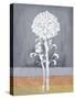 Loft Botanical 2-Filippo Ioco-Stretched Canvas