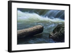 Log And Boulder Beneath Slow Waterfalls-Anthony Paladino-Framed Giclee Print