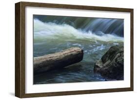 Log And Boulder Beneath Slow Waterfalls-Anthony Paladino-Framed Giclee Print