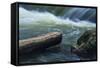 Log And Boulder Beneath Slow Waterfalls-Anthony Paladino-Framed Stretched Canvas