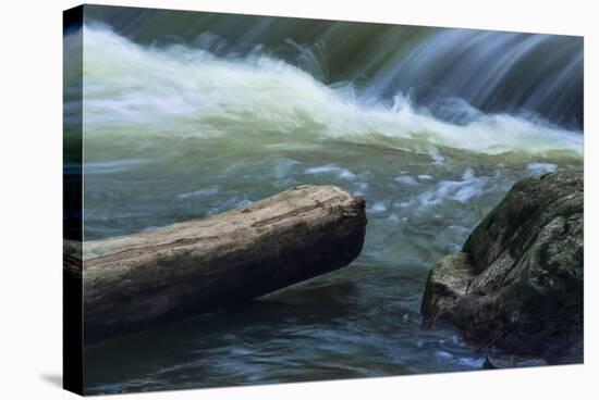 Log And Boulder Beneath Slow Waterfalls-Anthony Paladino-Stretched Canvas