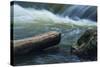 Log And Boulder Beneath Slow Waterfalls-Anthony Paladino-Stretched Canvas