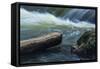 Log And Boulder Beneath Slow Waterfalls-Anthony Paladino-Framed Stretched Canvas