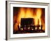 Log Burning in Fireplace-Chris Rogers-Framed Photographic Print
