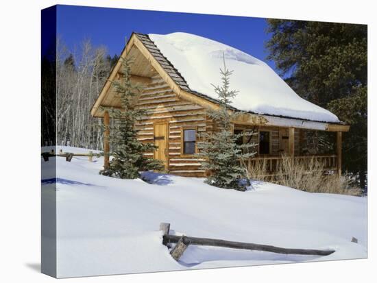 Log Cabin Colorado, USA-null-Stretched Canvas