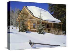 Log Cabin Colorado, USA-null-Stretched Canvas