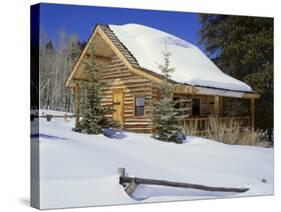 Log Cabin Colorado, USA-null-Stretched Canvas