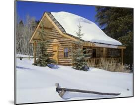 Log Cabin Colorado, USA-null-Mounted Premium Photographic Print