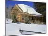 Log Cabin Colorado, USA-null-Mounted Photographic Print