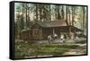 Log Cabin, Hayden Lake, Idaho-null-Framed Stretched Canvas