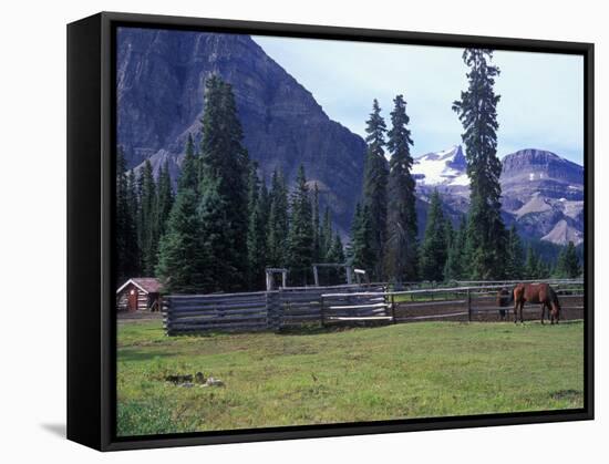 Log Cabin, Horse and Corral, Banff National Park, Alberta, Canada-Janis Miglavs-Framed Stretched Canvas