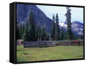 Log Cabin, Horse and Corral, Banff National Park, Alberta, Canada-Janis Miglavs-Framed Stretched Canvas