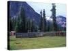 Log Cabin, Horse and Corral, Banff National Park, Alberta, Canada-Janis Miglavs-Stretched Canvas