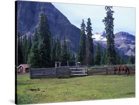Log Cabin, Horse and Corral, Banff National Park, Alberta, Canada-Janis Miglavs-Stretched Canvas