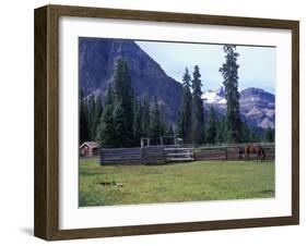 Log Cabin, Horse and Corral, Banff National Park, Alberta, Canada-Janis Miglavs-Framed Premium Photographic Print