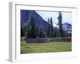 Log Cabin, Horse and Corral, Banff National Park, Alberta, Canada-Janis Miglavs-Framed Premium Photographic Print