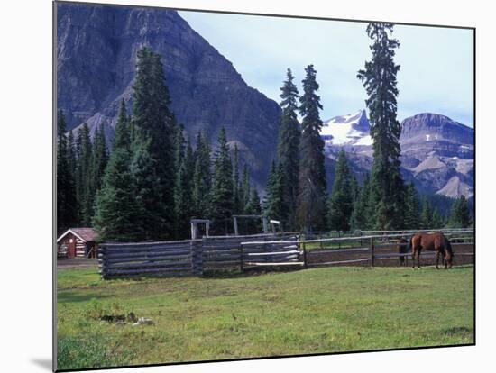 Log Cabin, Horse and Corral, Banff National Park, Alberta, Canada-Janis Miglavs-Mounted Photographic Print