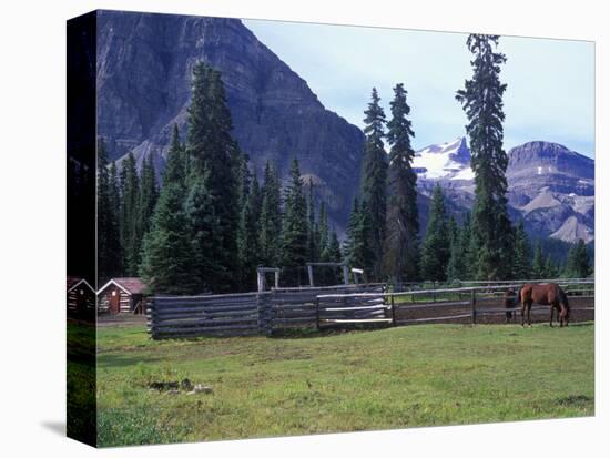 Log Cabin, Horse and Corral, Banff National Park, Alberta, Canada-Janis Miglavs-Stretched Canvas