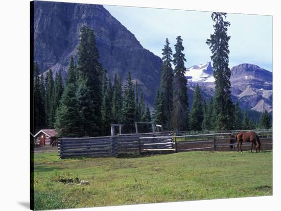 Log Cabin, Horse and Corral, Banff National Park, Alberta, Canada-Janis Miglavs-Stretched Canvas