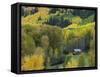 Log Cabin in Fall Colors, Dolores, San Juan National Forest, Colorado, USA-Rolf Nussbaumer-Framed Stretched Canvas