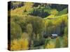 Log Cabin in Fall Colors, Dolores, San Juan National Forest, Colorado, USA-Rolf Nussbaumer-Stretched Canvas