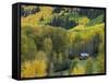 Log Cabin in Fall Colors, Dolores, San Juan National Forest, Colorado, USA-Rolf Nussbaumer-Framed Stretched Canvas