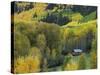 Log Cabin in Fall Colors, Dolores, San Juan National Forest, Colorado, USA-Rolf Nussbaumer-Stretched Canvas