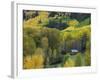 Log Cabin in Fall Colors, Dolores, San Juan National Forest, Colorado, USA-Rolf Nussbaumer-Framed Photographic Print