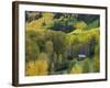 Log Cabin in Fall Colors, Dolores, San Juan National Forest, Colorado, USA-Rolf Nussbaumer-Framed Photographic Print