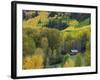 Log Cabin in Fall Colors, Dolores, San Juan National Forest, Colorado, USA-Rolf Nussbaumer-Framed Photographic Print