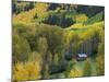 Log Cabin in Fall Colors, Dolores, San Juan National Forest, Colorado, USA-Rolf Nussbaumer-Mounted Photographic Print