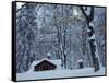 Log Cabin in Snowy Woods, Chippewa County, Michigan, USA-Claudia Adams-Framed Stretched Canvas