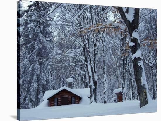 Log Cabin in Snowy Woods, Chippewa County, Michigan, USA-Claudia Adams-Stretched Canvas
