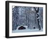 Log Cabin in Snowy Woods, Chippewa County, Michigan, USA-Claudia Adams-Framed Photographic Print