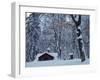 Log Cabin in Snowy Woods, Chippewa County, Michigan, USA-Claudia Adams-Framed Photographic Print